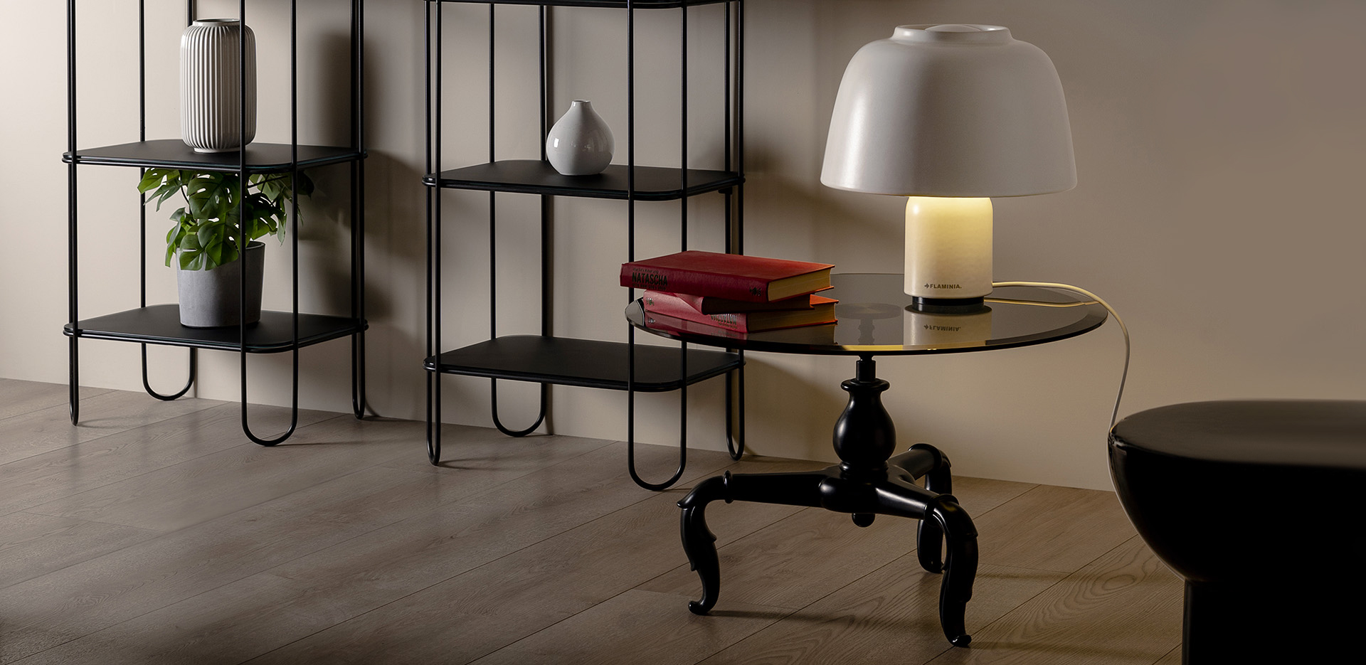 Slider home Flaminia